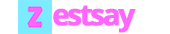 zestsay logo